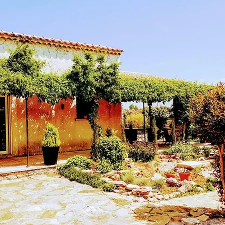La Petite Maison Derriere Les Buis *